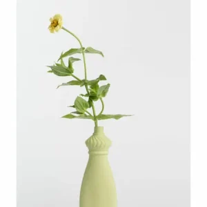 Vaas Spring #15 – Foekje Fleur